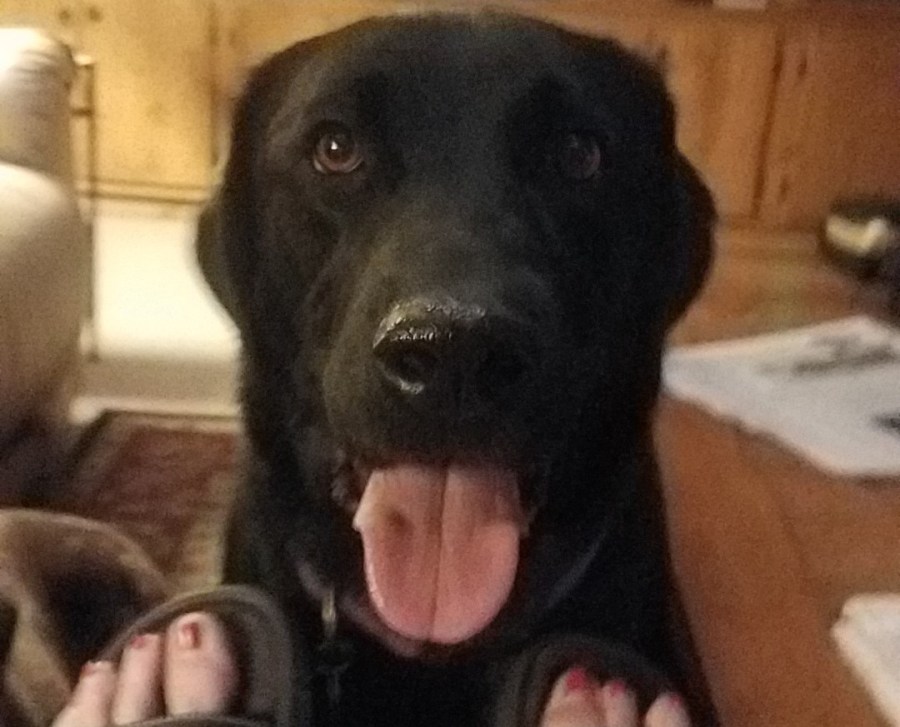 Boomer writes advice to&nbsp;Spammer