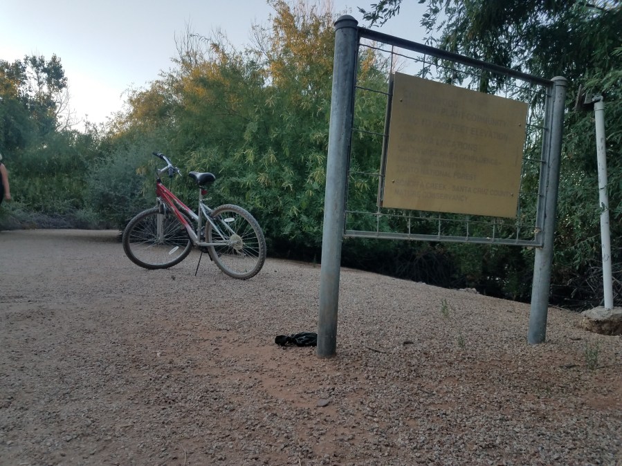 How I got caught holding the&nbsp;bag